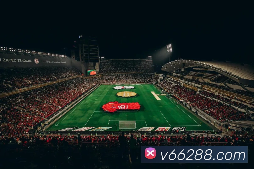 V66体育平台生态图